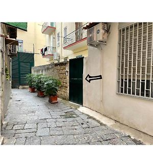 Cesitredici
